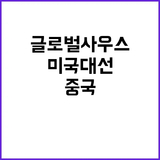 글로벌사우스 미국 …