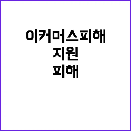 이커머스 피해업체 지원…한도 대폭 증가 5억 원!