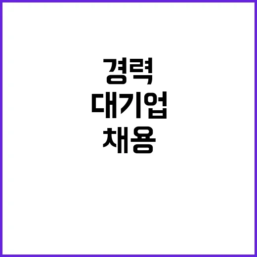 “대기업” 경력 채용 20대 비율 급감 중!