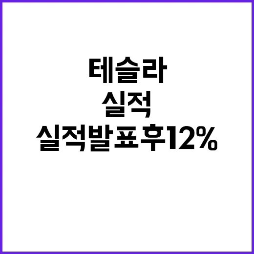 테슬라 실적 발표 후 12% 상승세 지속할까?