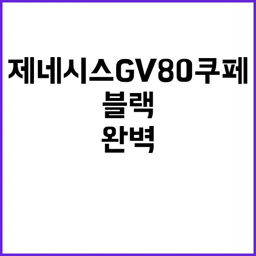 차 제네시스 GV80 쿠페 블랙과 휠의 완벽 조화!