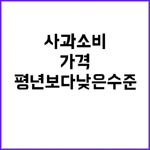 사과 소비가격 평년보다 낮은 수준의 충격 사실!