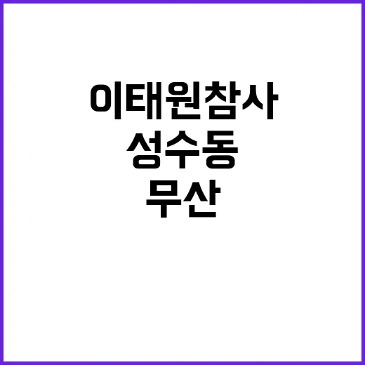 이태원 참사 성수동 행사 인파로 무산됐다!