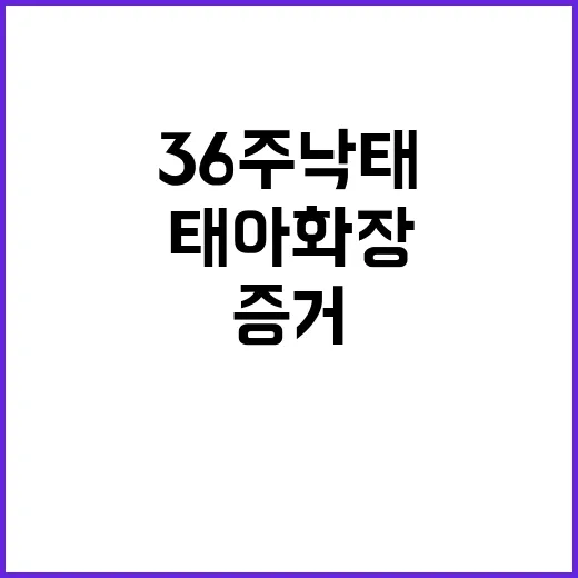 36주 낙태 사건…경찰 태아 화장 증거 발견!