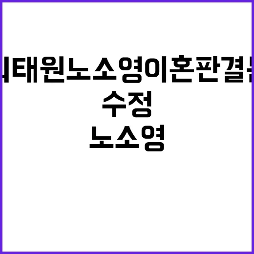 최태원노소영 이혼 판결문 수정 소식 궁금한 진실!