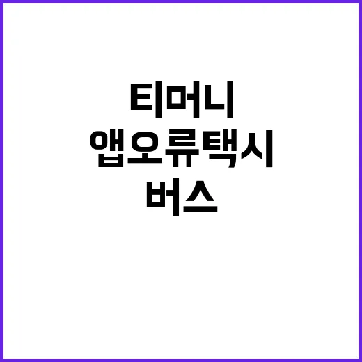 티머니 앱 오류 택…