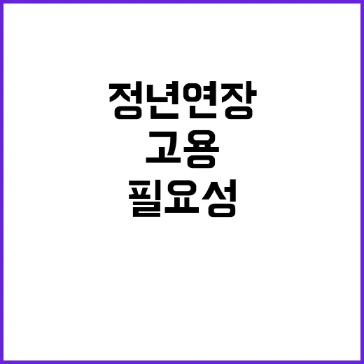 정년 연장 기업 맞춤형 고용 전환의 필요성!