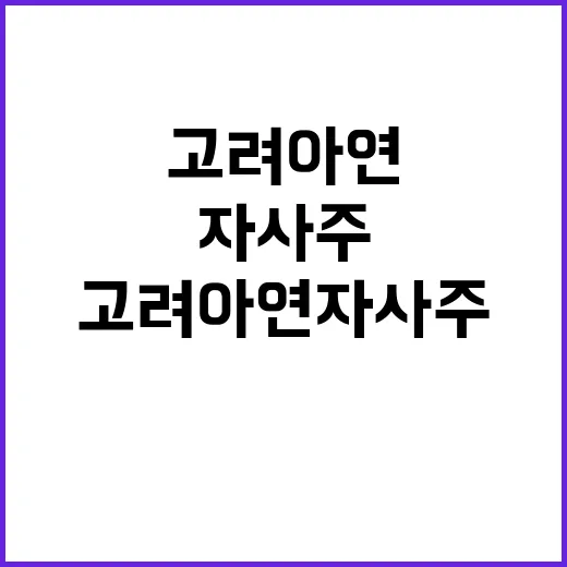 고려아연 자사주 획…