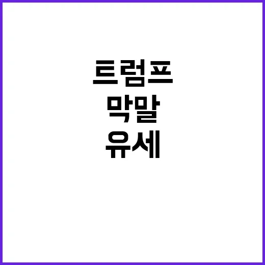 푸에르토리코 쓰레기…