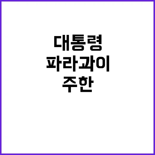 윤석열 대통령 주한…