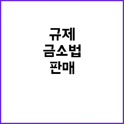 금소법 불완전판매 규제 진단 내용 공개! 클릭 필수!