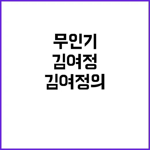 무인기 김여정의 서…