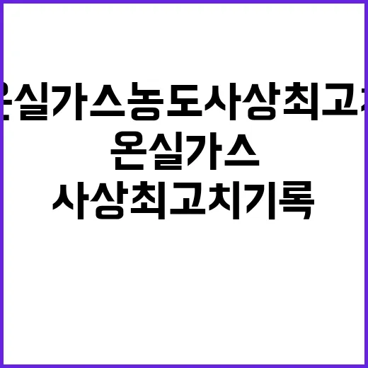 온실가스 농도 사상 최고치 기록! 대책은?