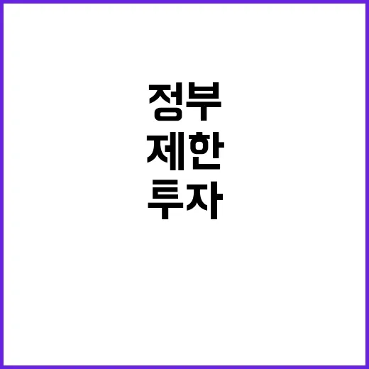 투자제한 정부의 입…