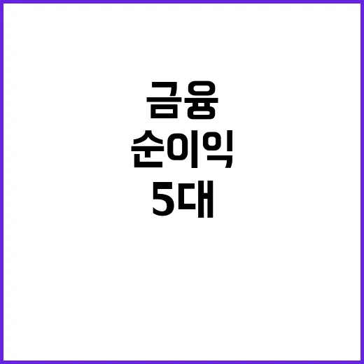 최대 순이익 5대 금융의 비밀 공개!