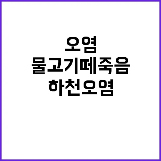 물고기 떼죽음 광주 하천 오염 충격적 사실!