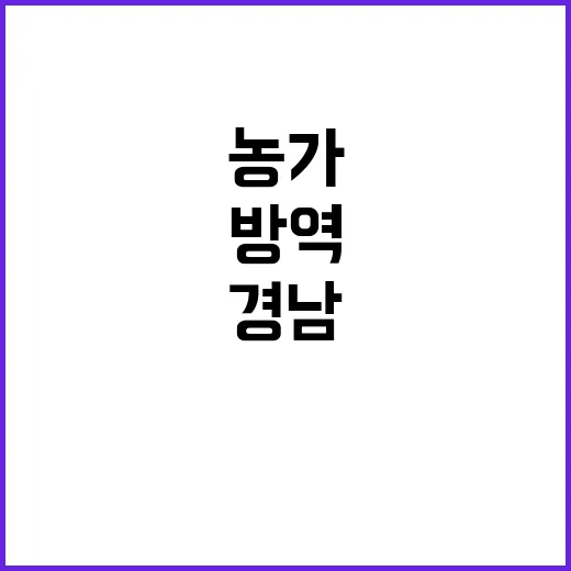 AI 방역 강화 경남의 강원 농가 안전 확인!