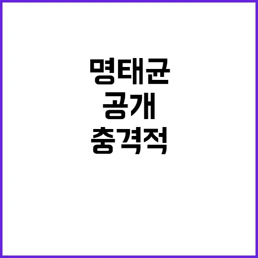 명태균 녹취록 공개 후 충격적 반응 보이다!