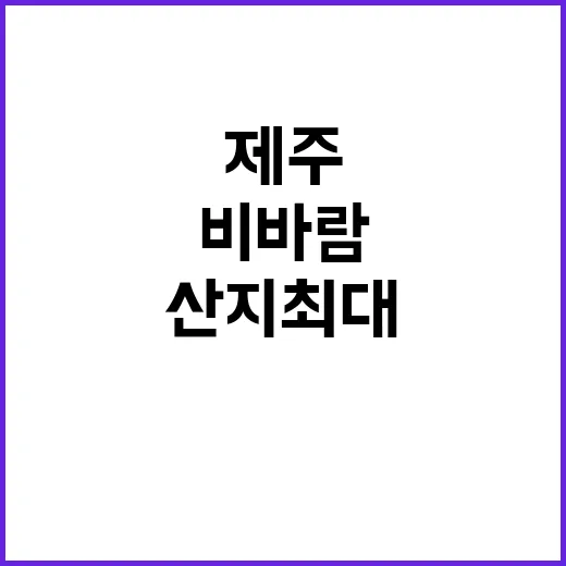 비바람 내일 제주 산지 최대 300㎜ 예보!