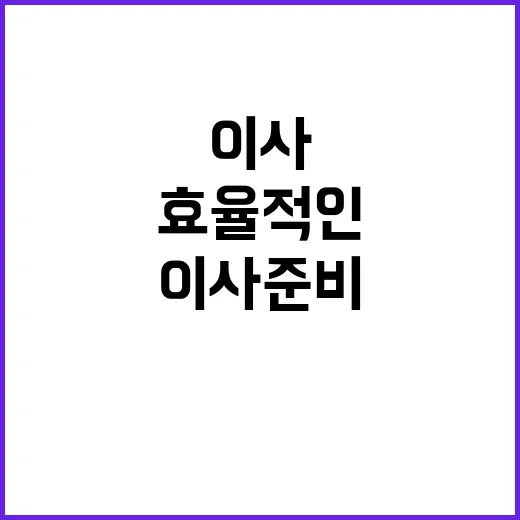 이사 준비 효율적인 버리기 전략 공개!