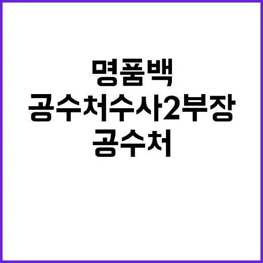 명품백 사건 송창진 공수처 수사2부장 사퇴!