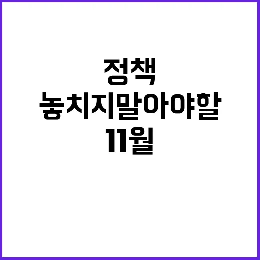 11월 변화 놓치지 말아야 할 정책들!