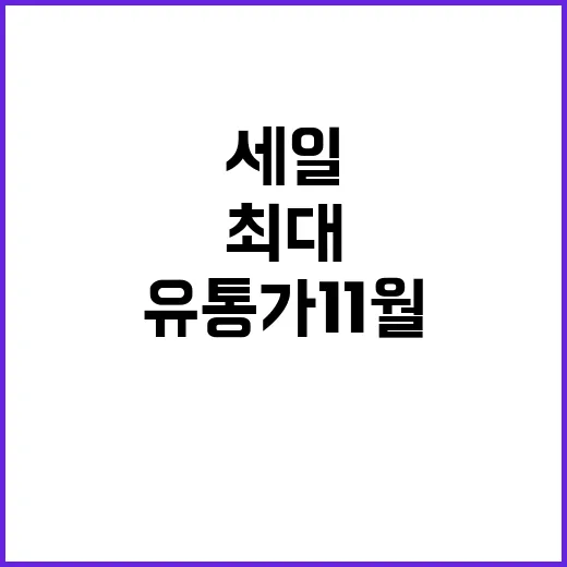 할인 전쟁 유통가 11월 최대 세일 총력전!