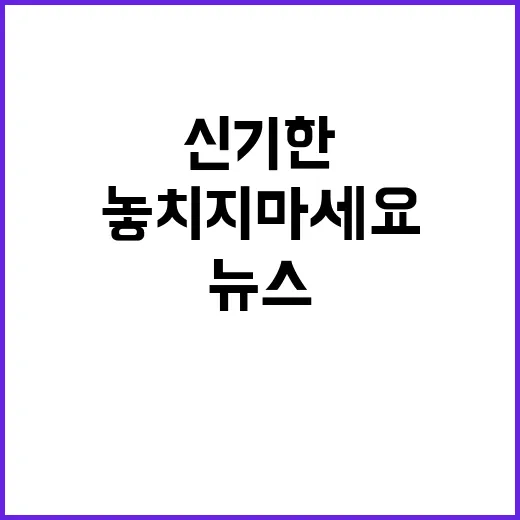 신기한 사실 오늘의 뉴스 놓치지 마세요!