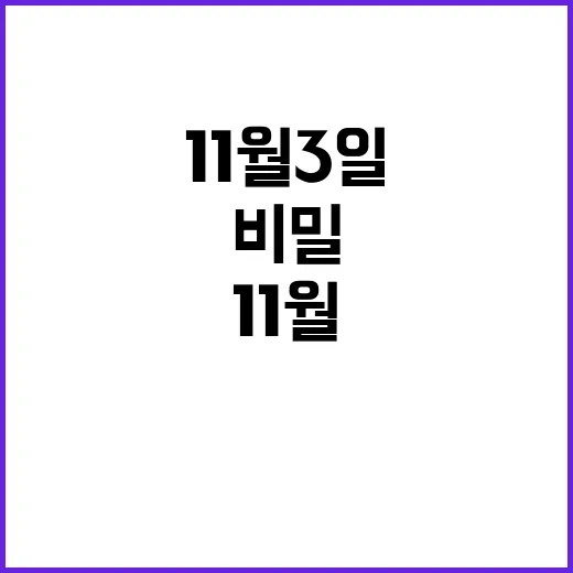 11월 3일 특별한 날의 비밀을 밝혀드립니다!