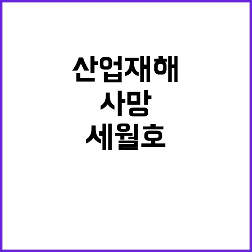 세월호 잠수사 사망 충격 여파와 산업재해 논란!