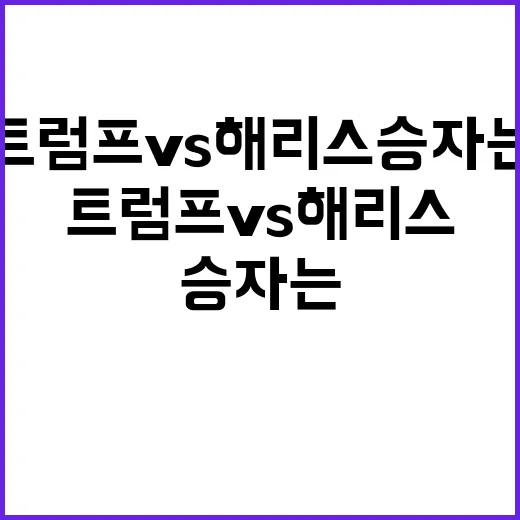 트럼프 vs 해리스 승자는 반드시 알아야 할 종목!