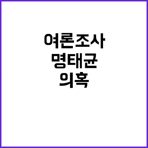 명태균 지지율 여론조사 의혹의 진실 공개!