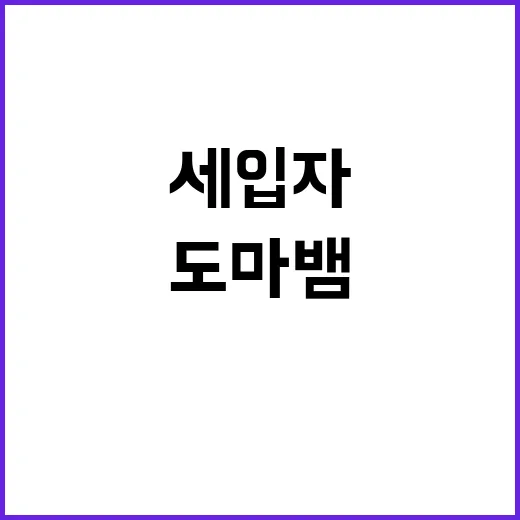 도마뱀 80마리 세입자 집의 충격적인 발견!