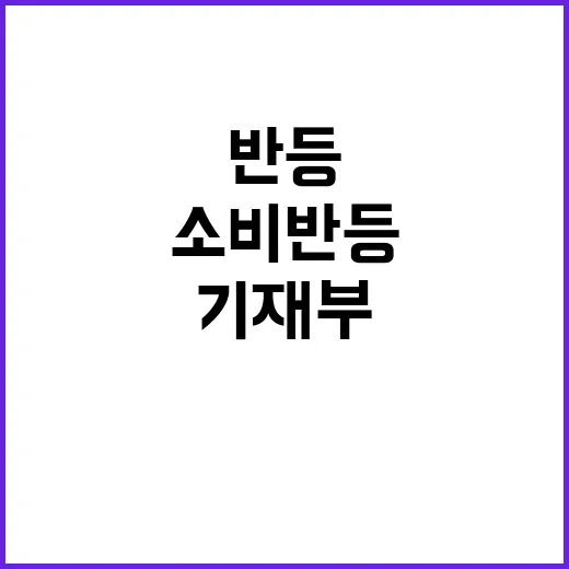 민간소비 반등 기재부의 예상 밖 발표 공개!