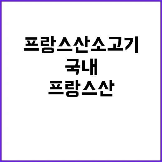 프랑스산 소고기 수입 국내 시장에 충격 예고!