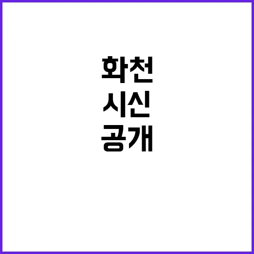 ‘화천 시신’ 봉투 속 돌의 충격적 진실 공개!