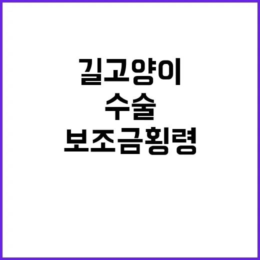 수천만원 길고양이 중성화 수술 보조금 횡령 사건!