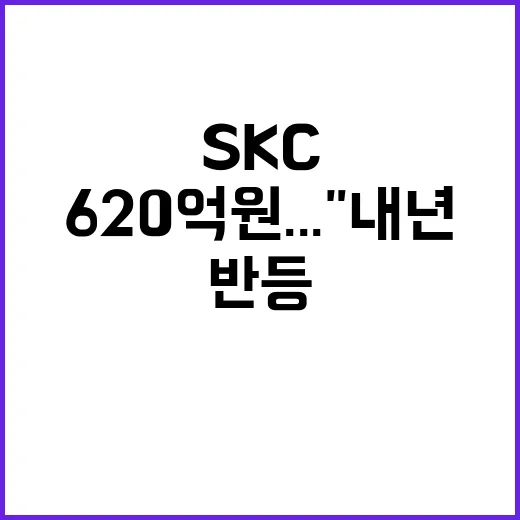 SKC 3Q 손실 620억 원..내년 반등 기대!