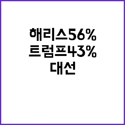 대선 승률 해리스 56% vs 트럼프 43% 결과는?