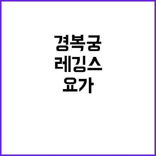 레깅스 요가 경복궁 문화재 훼손 우려 발생!