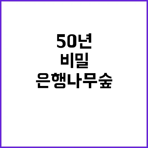 은행나무숲 공개!… 50년의 비밀 대공개!