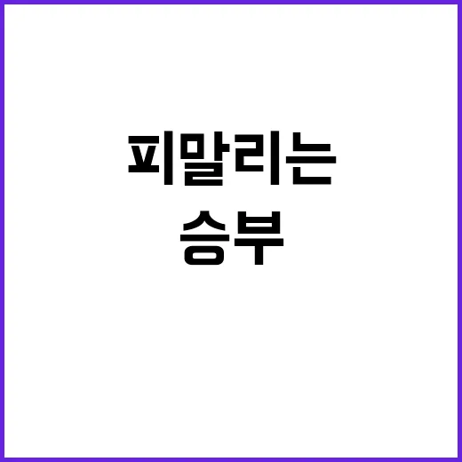 초반 트럼프 피 말리는 개표 속 승부 본색!