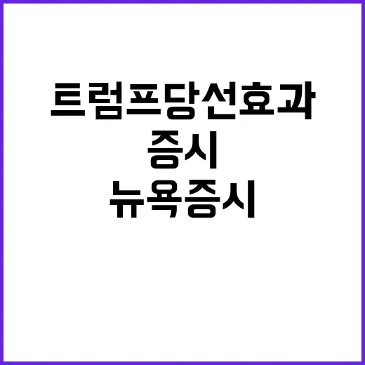 뉴욕증시 역사적 최고치 트럼프 당선 효과!