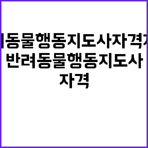 “반려동물 행동지도사 자격 제도 정착 노력 중!”