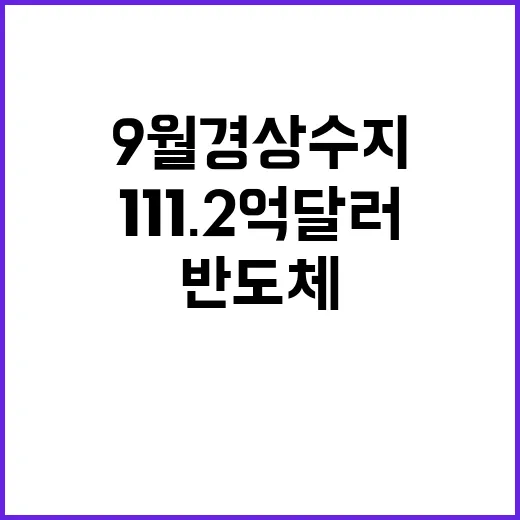 반도체 수출 9월 경상수지 111.2억 달러 기록!