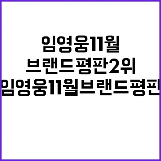 임영웅 11월 브랜드평판 2위 소식 공개!