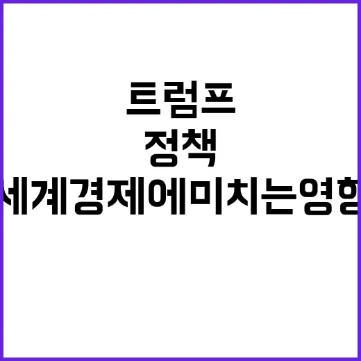 트럼프 정책 세계 경제에 미치는 영향과 대응 전략