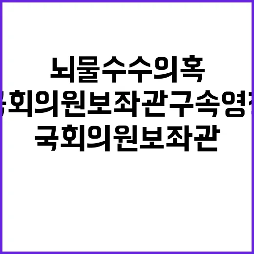 뇌물수수 의혹 국회…