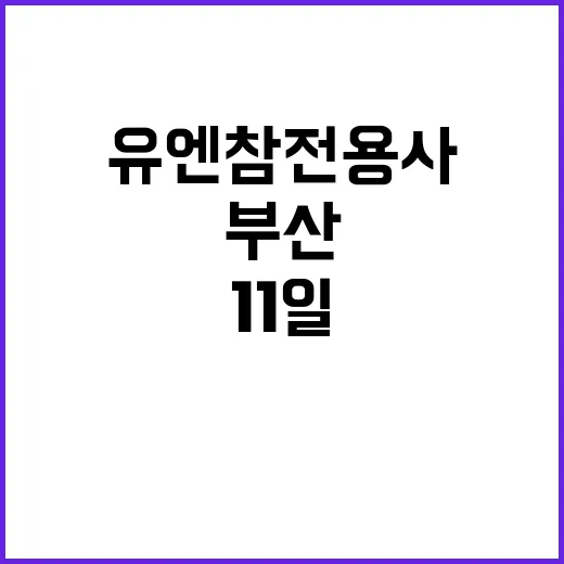 부산 유엔참전용사 기념식 11일 개최! 놓치지 마세요!