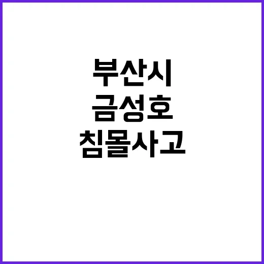 부산시 금성호 침몰 사고 가족 지원 방안 공개!